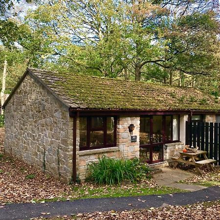 Cosy Woodland Home Uny Lelant Luaran gambar