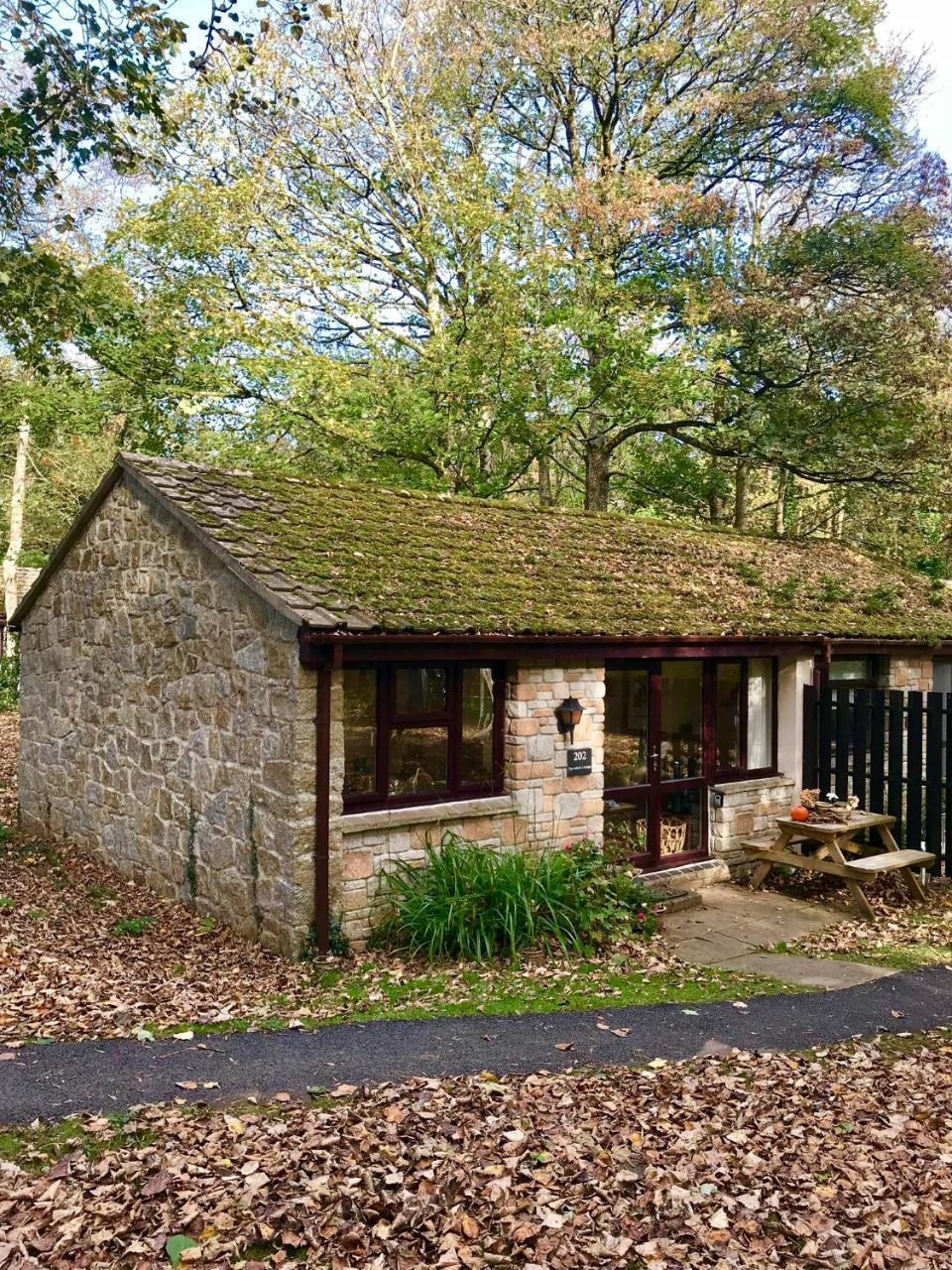 Cosy Woodland Home Uny Lelant Luaran gambar